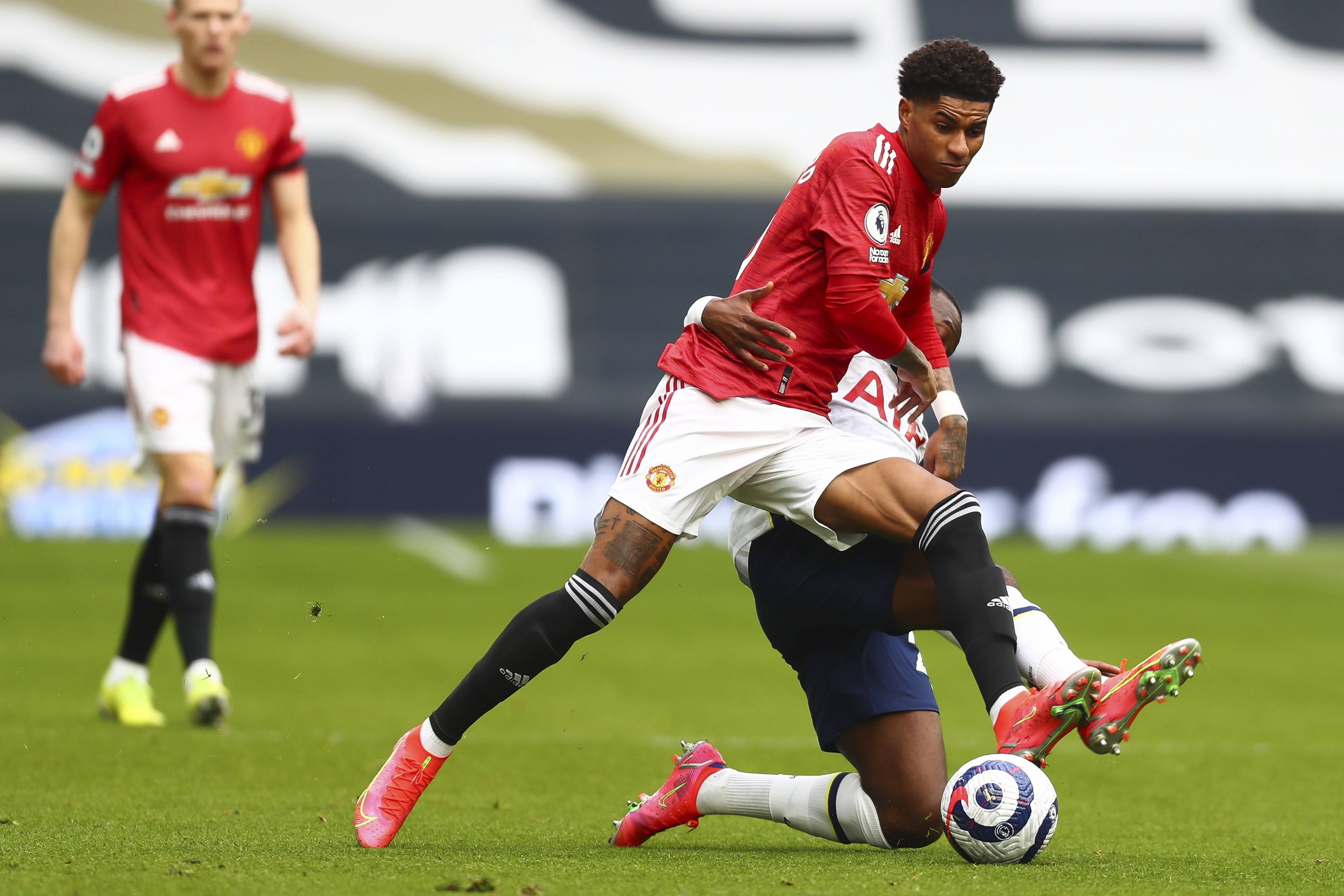 以其丰富的 以其丰富的